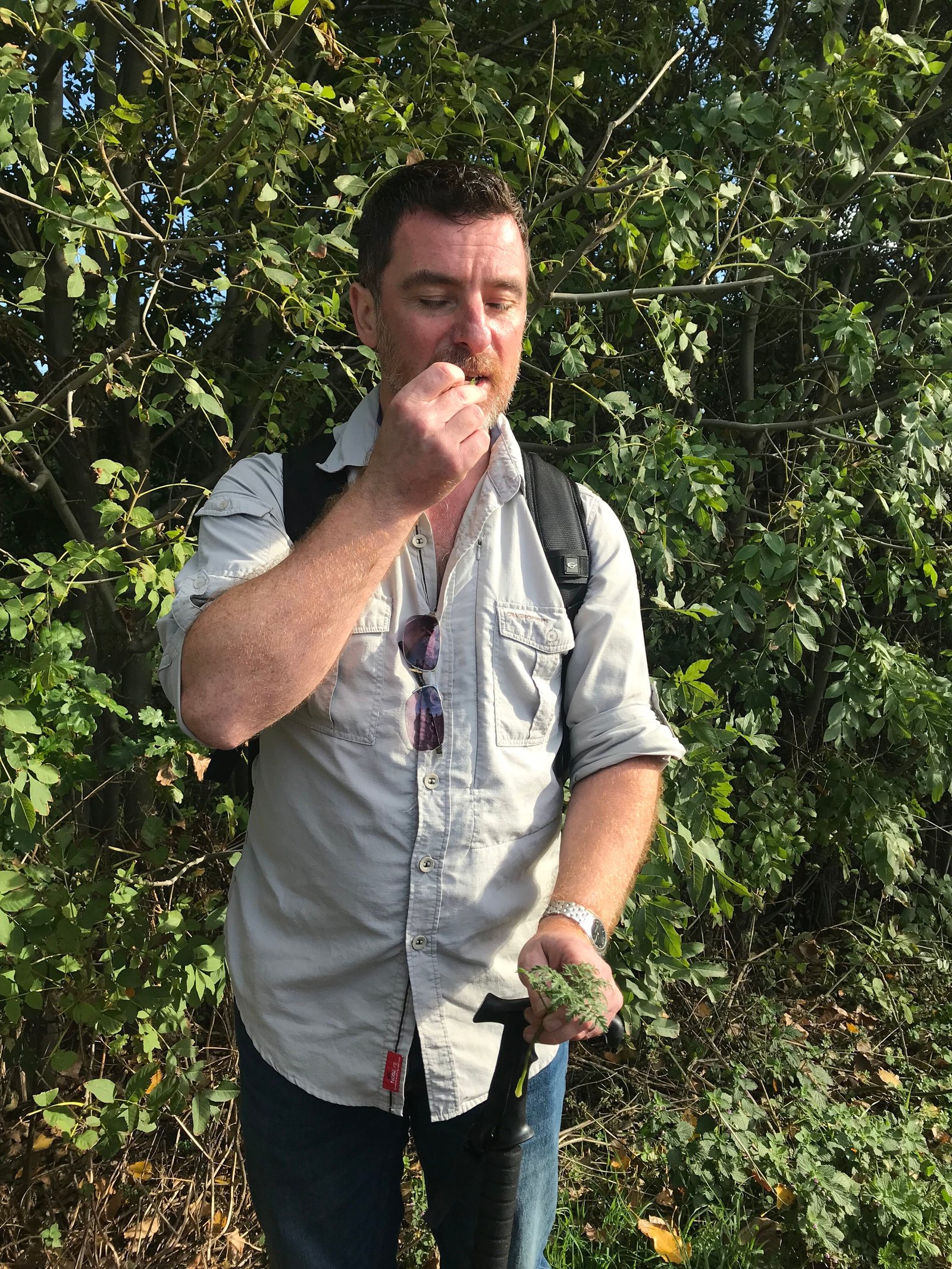Forager eating wild food in Mid-Wales