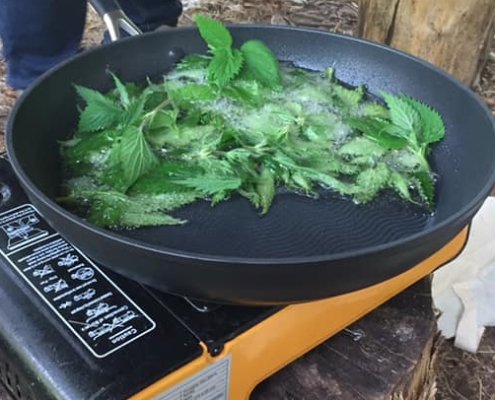 61944425_10156410186075687_2961048327577141248_n