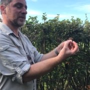 Forager teaching the finer points of mushroom identification